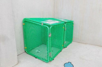 【その他共用部分】 | Bloom鴨居