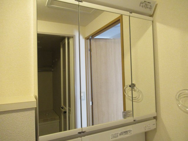 グリーンヒルズ東舞子２ＤＫの洗面所