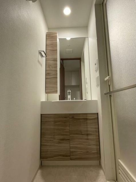 ガーラ・グランディ元住吉の洗面所