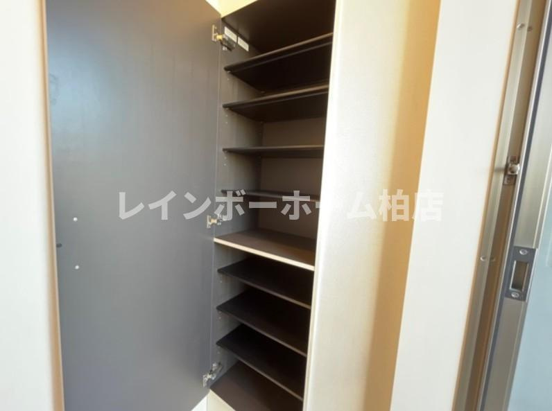 【仲介手数料：50％OFF】対象物件！の収納|小物を収納するのに便利です