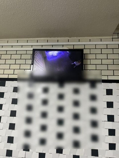 【その他】