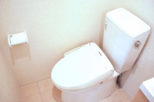 トーシンフェニックス市谷柳町のトイレ|ユニットバス