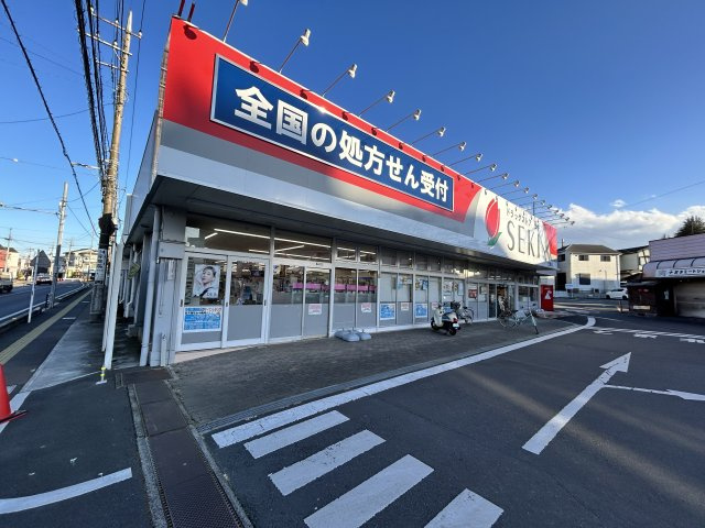 セザール川越笠幡の周辺|セキ薬局