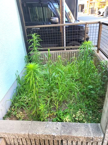 東大阪市布市町4丁目　中古戸建の設備