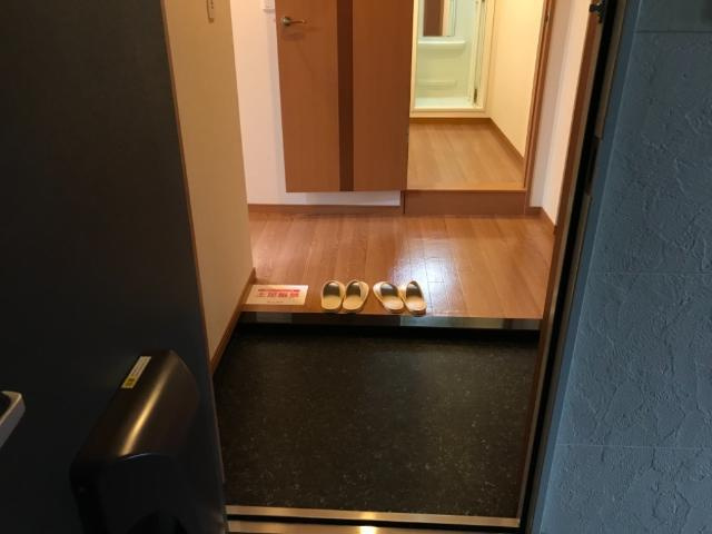 ヴィータローザの玄関|玄関（イメージ）