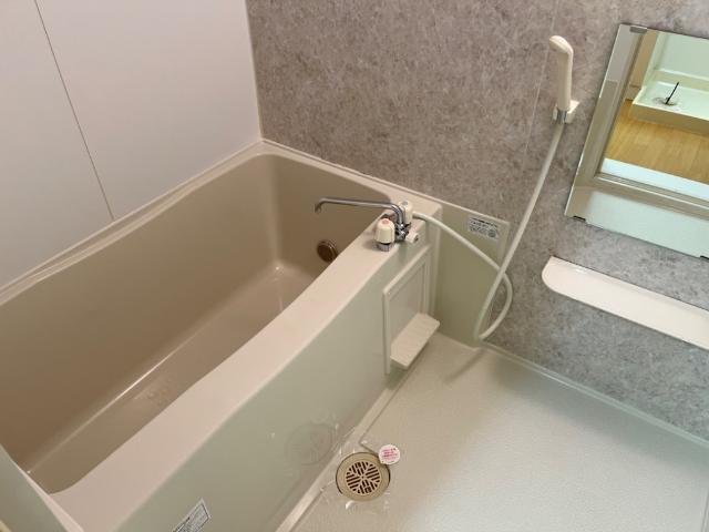 Ｄｒｅａｍ　Ｌｉｇｈｔｓの浴室|バス