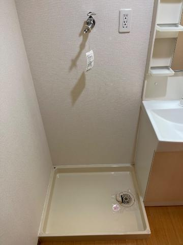 Ｄｒｅａｍ　Ｌｉｇｈｔｓのその他|洗濯機置場