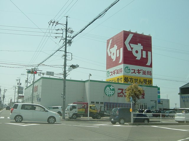 Ｄｒｅａｍ　Ｌｉｇｈｔｓの周辺|スギ薬局中鶉店まで674ｍ