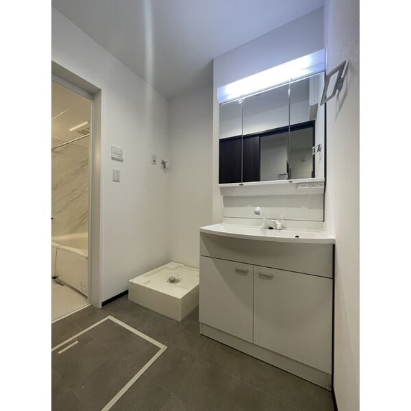 AI-Maison 田辺/昭和町の洗面所