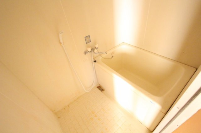 グリーンハイムエルの浴室