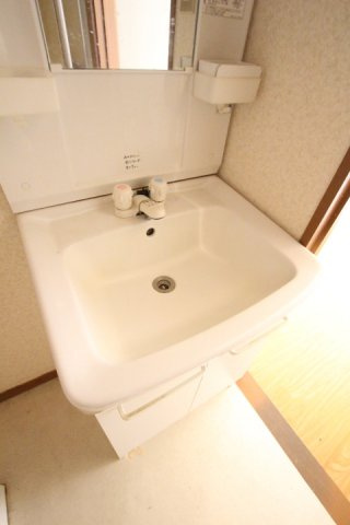 グリーンハイムエルの洗面所