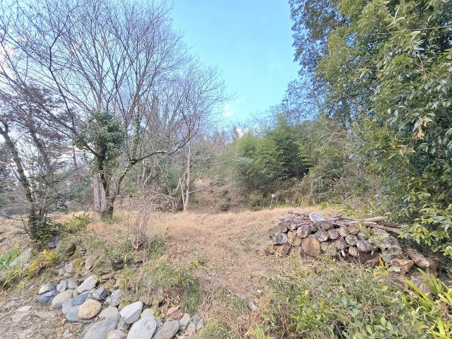 秩父市定峰　売地の外観