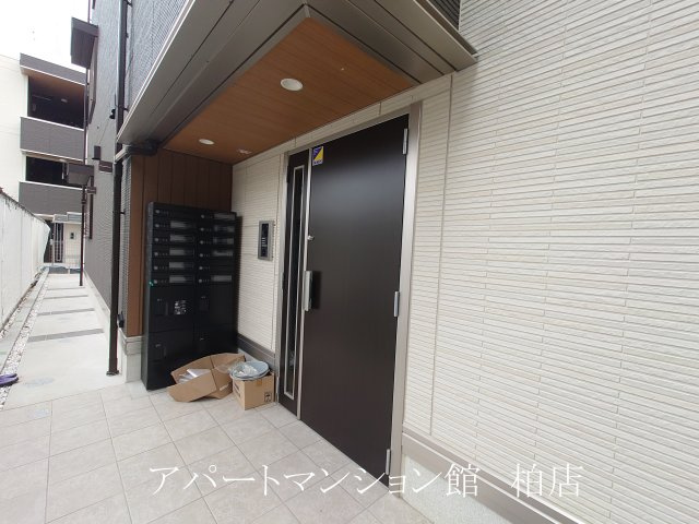 コニフェールⅠのその他