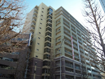 仙台市若林区新寺１丁目のマンションの画像