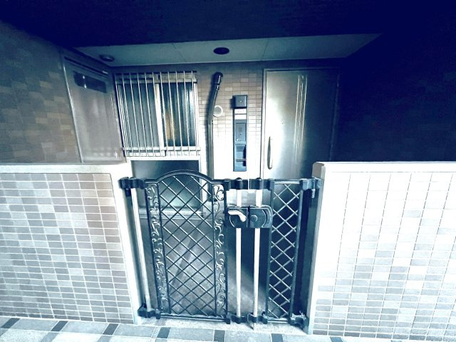 ノーブル猿江恩賜公園WESTの玄関|ポーチ付きの玄関です。