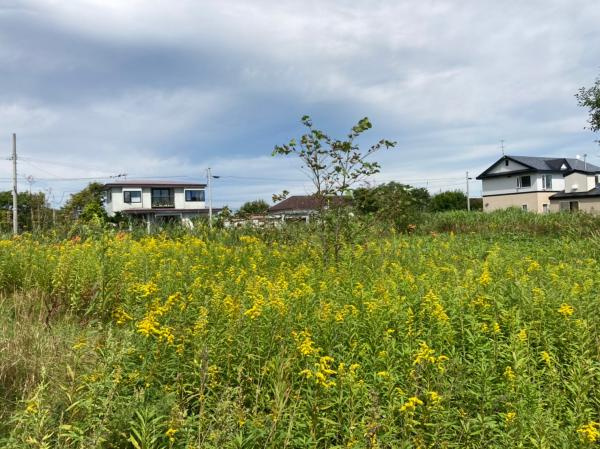 白糠郡白糠町 庶路宮下３丁目 （庶路駅） 住宅用地
