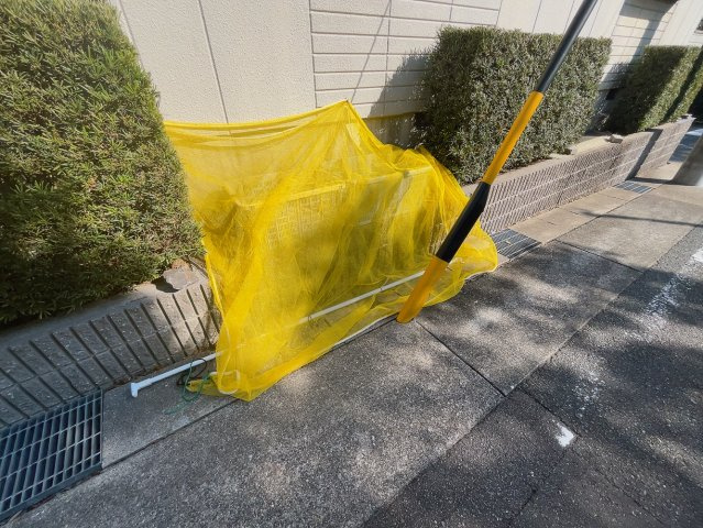 ジョイ・パークのその他