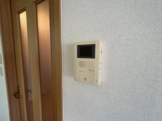 プラシード・Ｓのセキュリティ