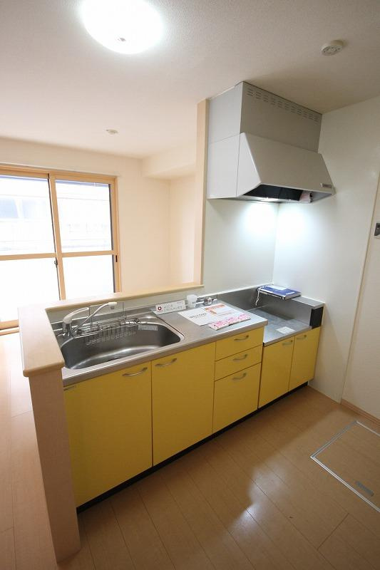 ブルースカイ　F棟のキッチン|※お部屋により仕様が異なる場合があります※