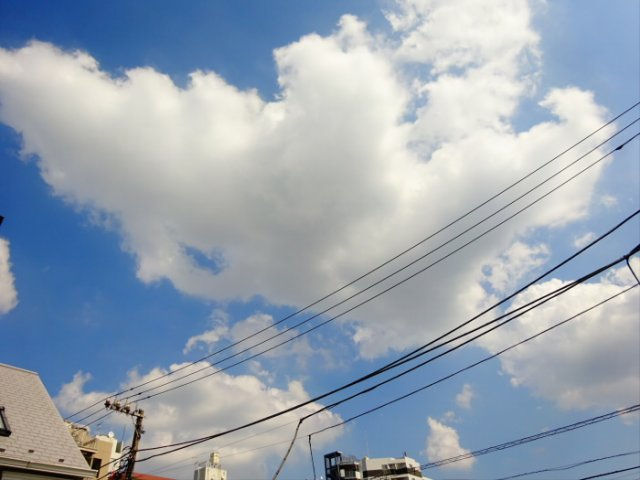 【その他】 | ルーブル駒沢大学参番館