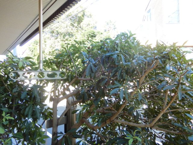 ＱＵＡＬＩＡ　大岡山の展望