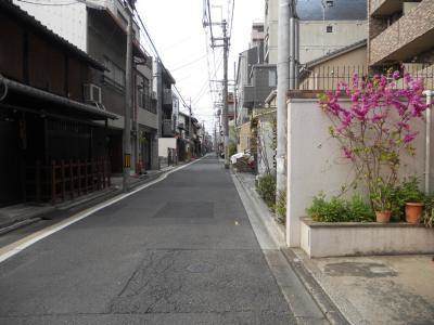 西田マンションの周辺|前面道路