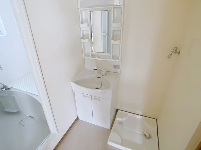 メゾンロイヤルBの独立洗面台