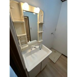 DUPLEX EXCE B棟の洗面所