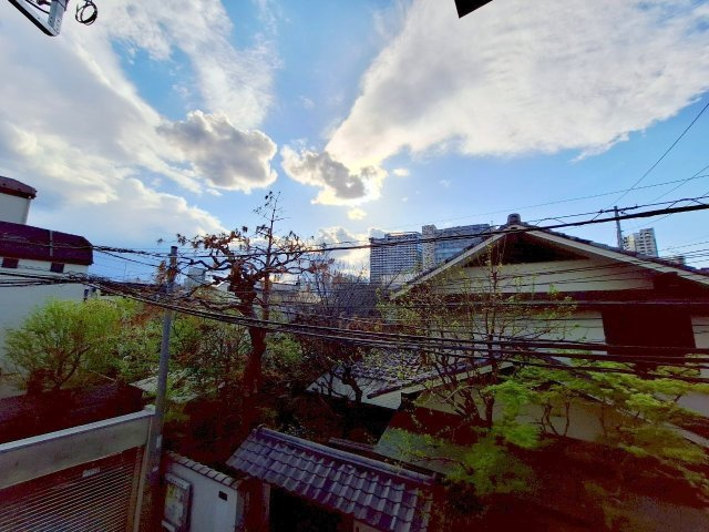 （仮称）新宿６丁目計画（ペット共生）の展望