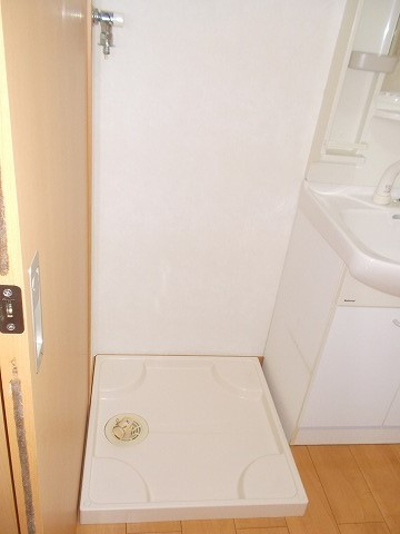 エバーグリーンオーク Bのその他