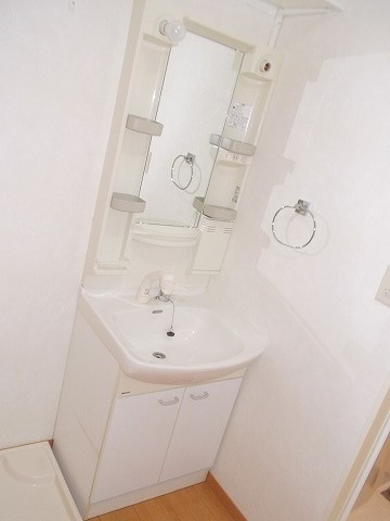 エバーグリーンオーク Bの洗面所