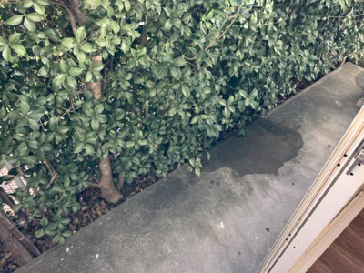 【内装】 | アーバンツインピア２棟