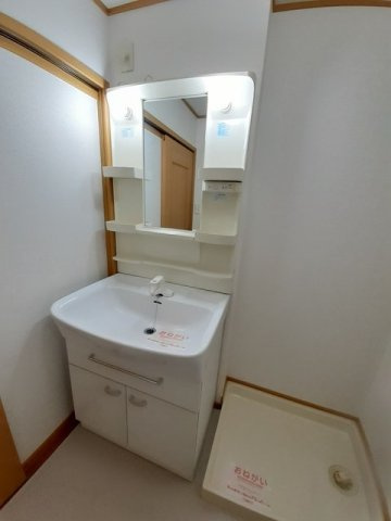 パラッツォリーノ　ローザＡの洗面所