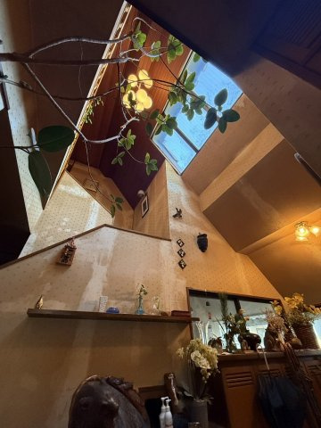 国分寺市戸倉2丁目土地の外観