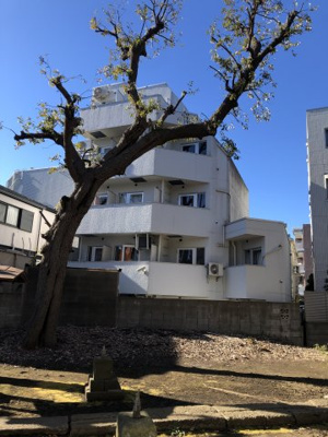 【外観】 | 菱和パレス都立家政