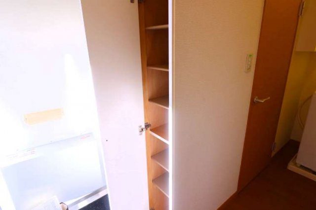 レオパレスヴィルドミールの内装|靴が沢山あっても収納可能な下駄箱