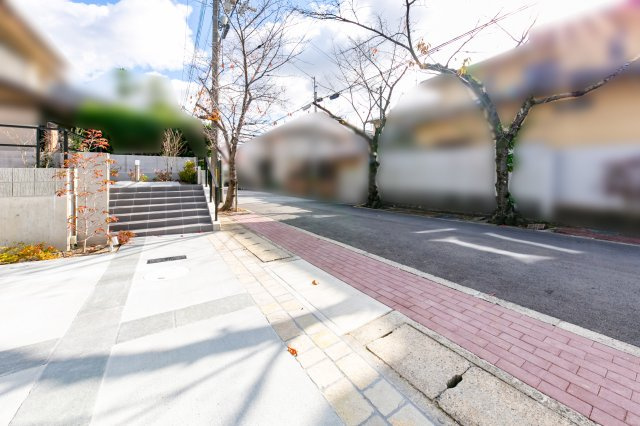 向日市上植野町浄徳の前面道路含む現地写真|散策やジョギングを楽しむ人々で賑わい、地域全体が華やかな雰囲気に包まれます。