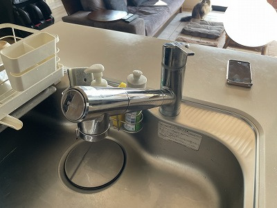 プラネスト菊陽のキッチン|ヘッドが引き出せるシャワータイプの水栓。うれしい浄水機能付きの節水仕様です。