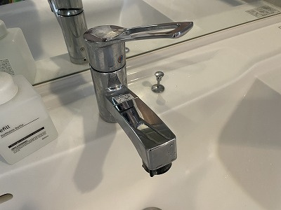 プラネスト菊陽の洗面所|ヘッド部分が引き出せるので掃除に便利です。