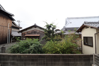 【展望】 | Confiance　K