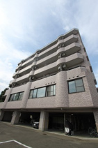 第三横山ハイツの画像