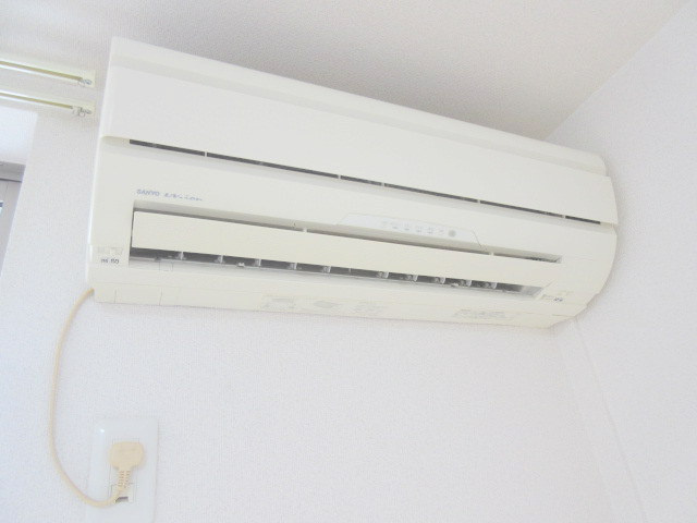 リーヴァ・ロッシュのその他