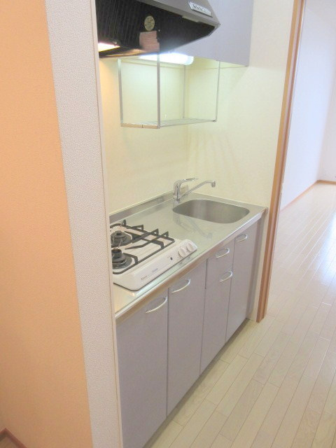 リーヴァ・ロッシュのキッチン|お料理の幅も広がるガス２口システムキッチン