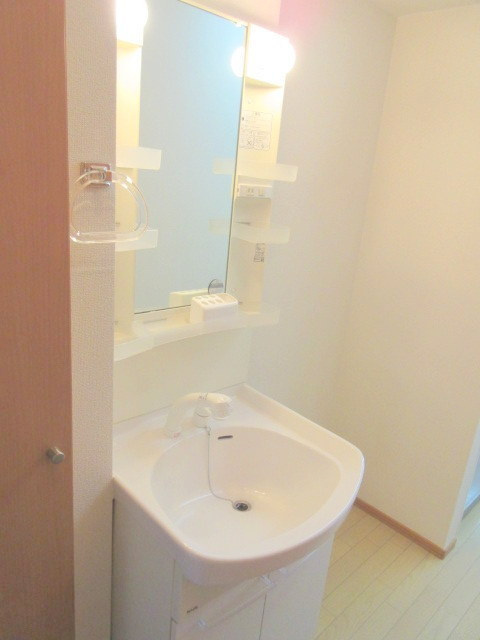 リーヴァ・ロッシュの洗面所|忙しい朝に嬉しいシャンプードレッサー