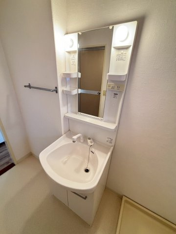 グリーンマンションの洗面所