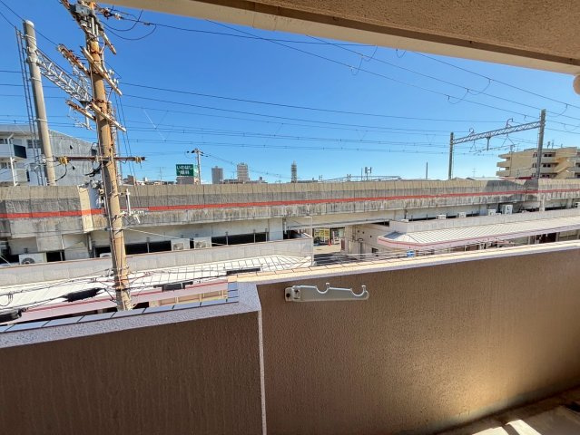 グリーンマンションの展望