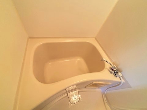 グリーンマンションの浴室