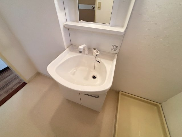 グリーンマンションの洗面所