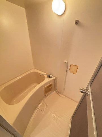 グリーンマンションの浴室