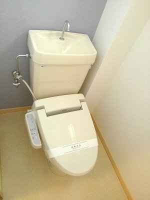 ハイツウイステリア（Ａ）のトイレ|落ち着いたトイレです